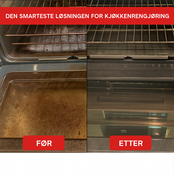 Dampmester Pro Rengjøring