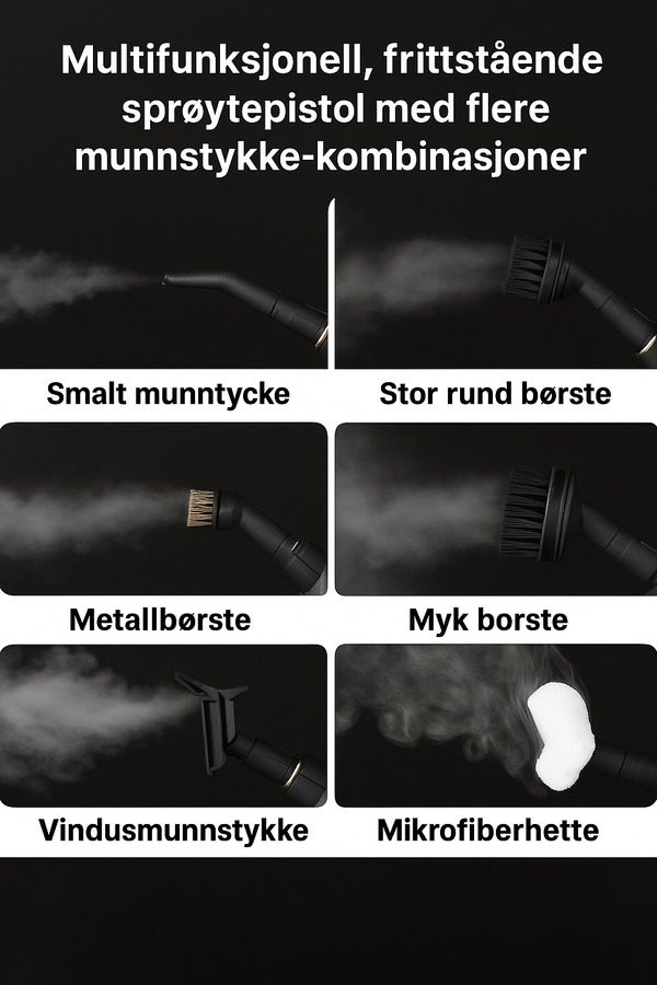 Dampmester Pro Rengjøring